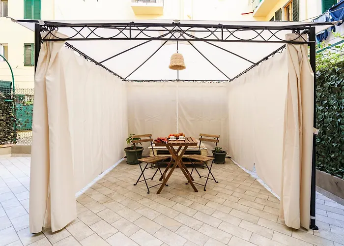 Asse By San Collection