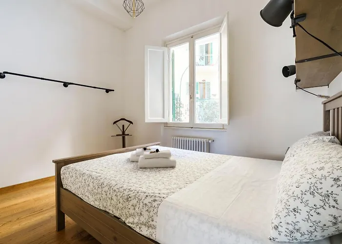 Asse By San Collection *